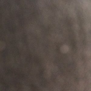 Meet your Posher, Sonny